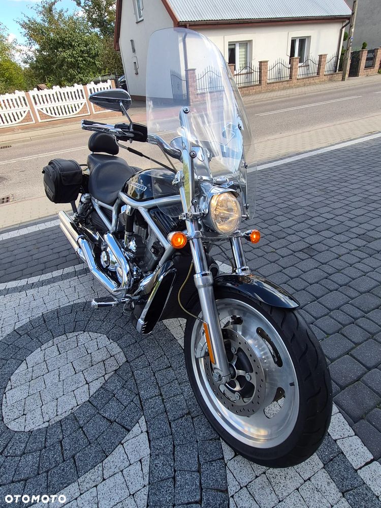 Harley-Davidson V-Rod Street Rod - 18