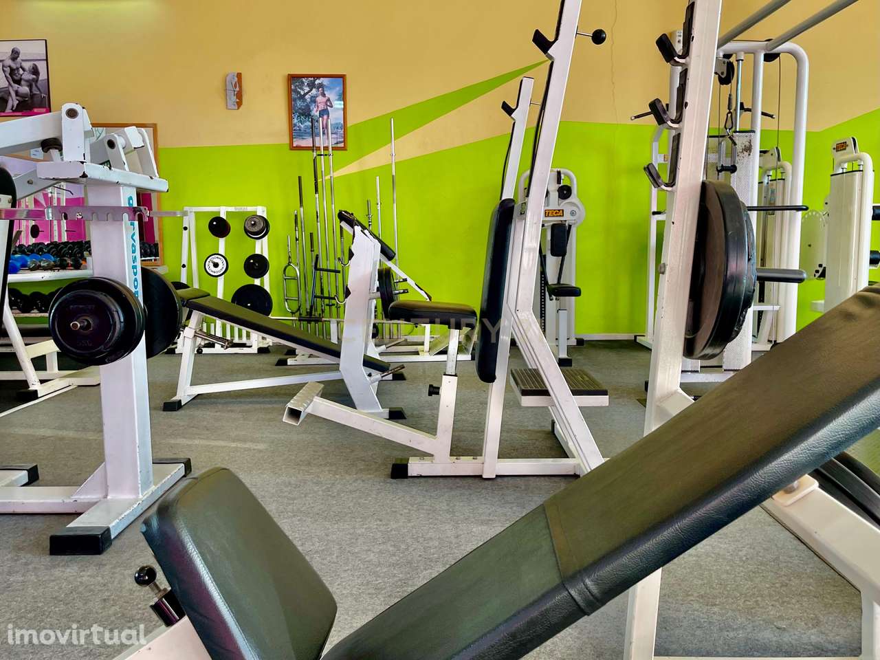 GINÁSIO NA BAIXA DE OLHÃO! - Grande imagem: 4/14