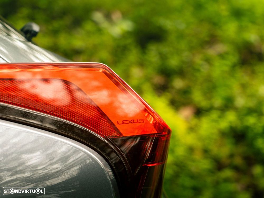 Lexus UX 300e Premium+TAE - 20