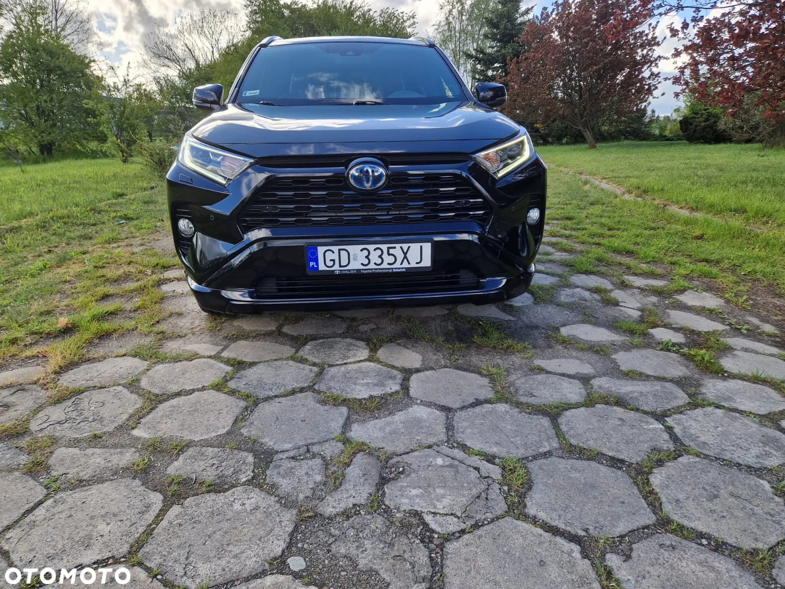 Toyota RAV4 - 15
