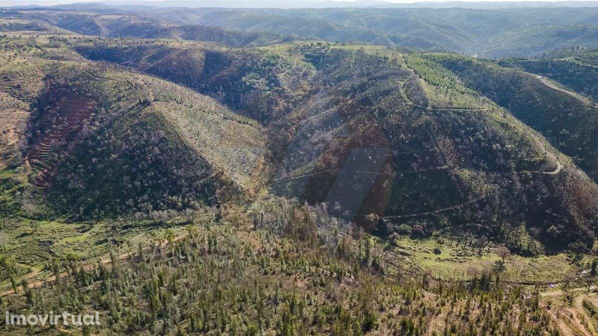 PROPRIEDADE RURAL COM POTÊNCIAL TURÍSTICO - Grande imagem: 4/12