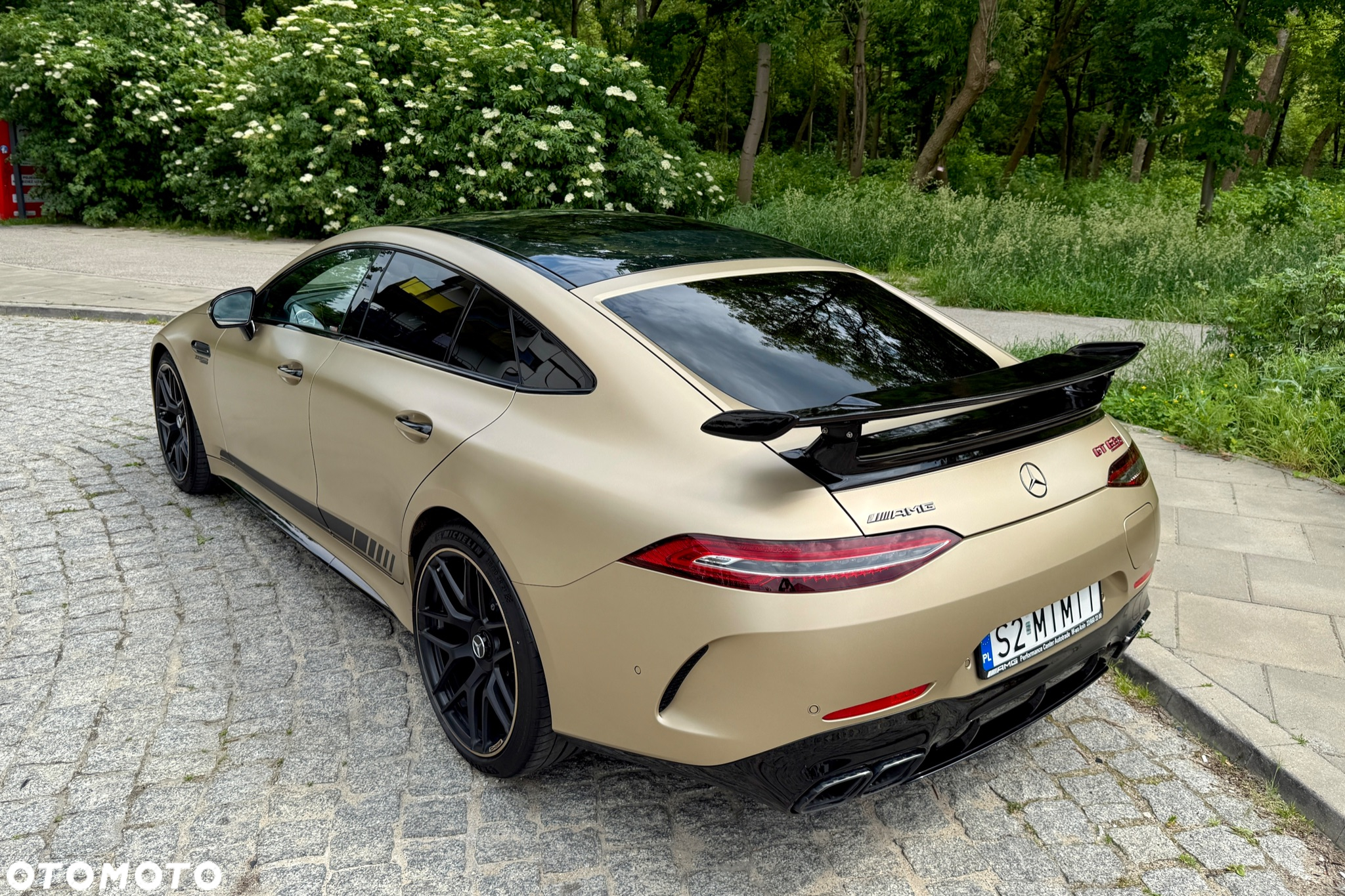 Mercedes-Benz AMG GT - 40