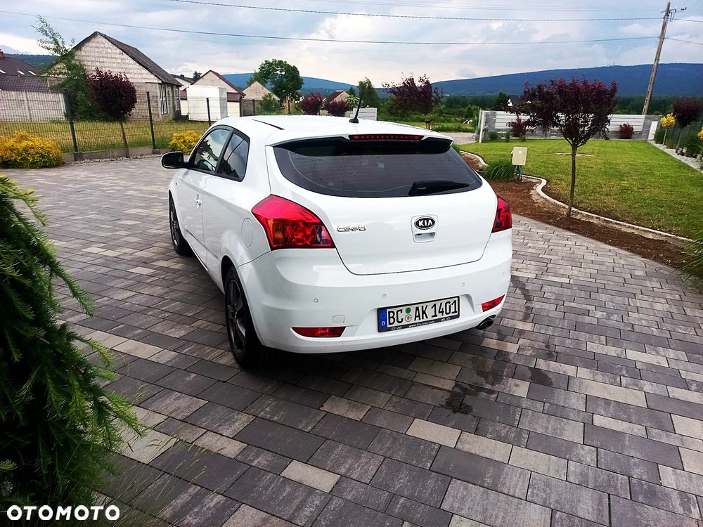 Kia ProCeed 1.6 CVVT Spirit - 17