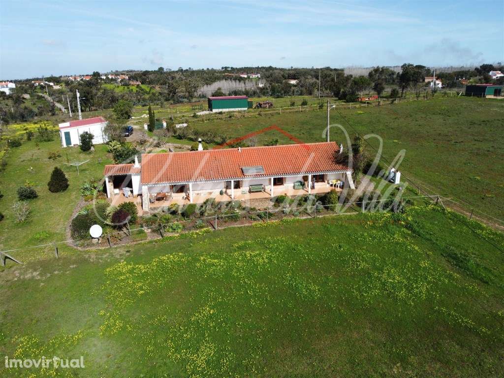 Quinta com 6,5ha em Vale Juncal - São Teotónio - Grande imagem: 3/60