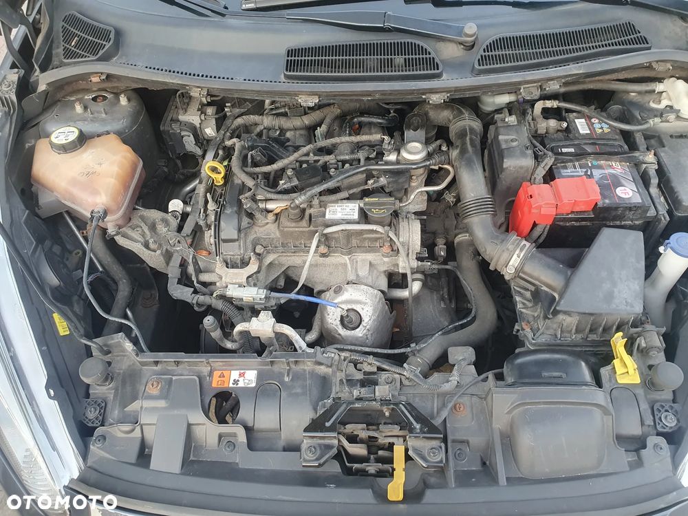 Ford Fiesta 1.0 Champions Edition - 11