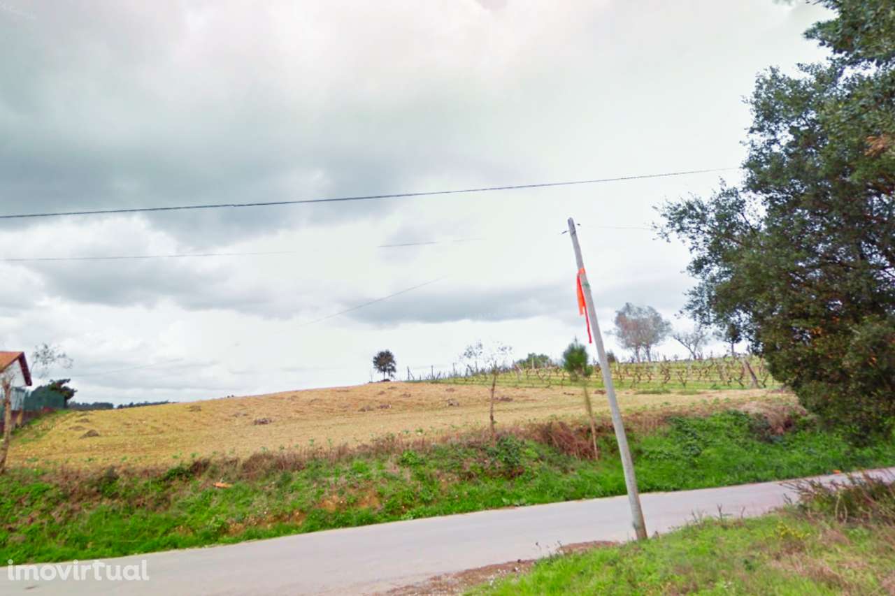 Terreno Urbano no Pereiro, Anadia - Grande imagem: 5/8