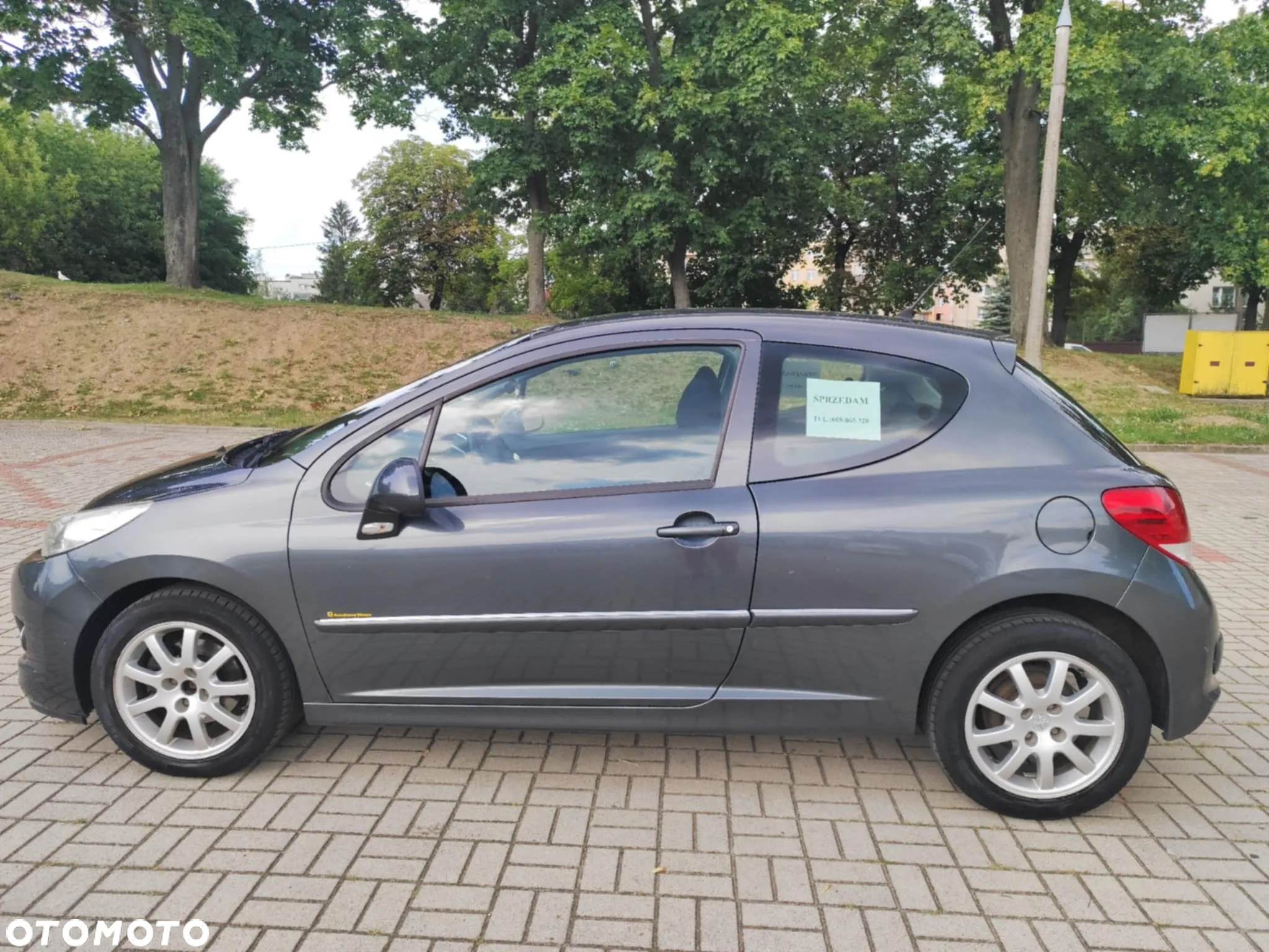 Peugeot 207 - 6