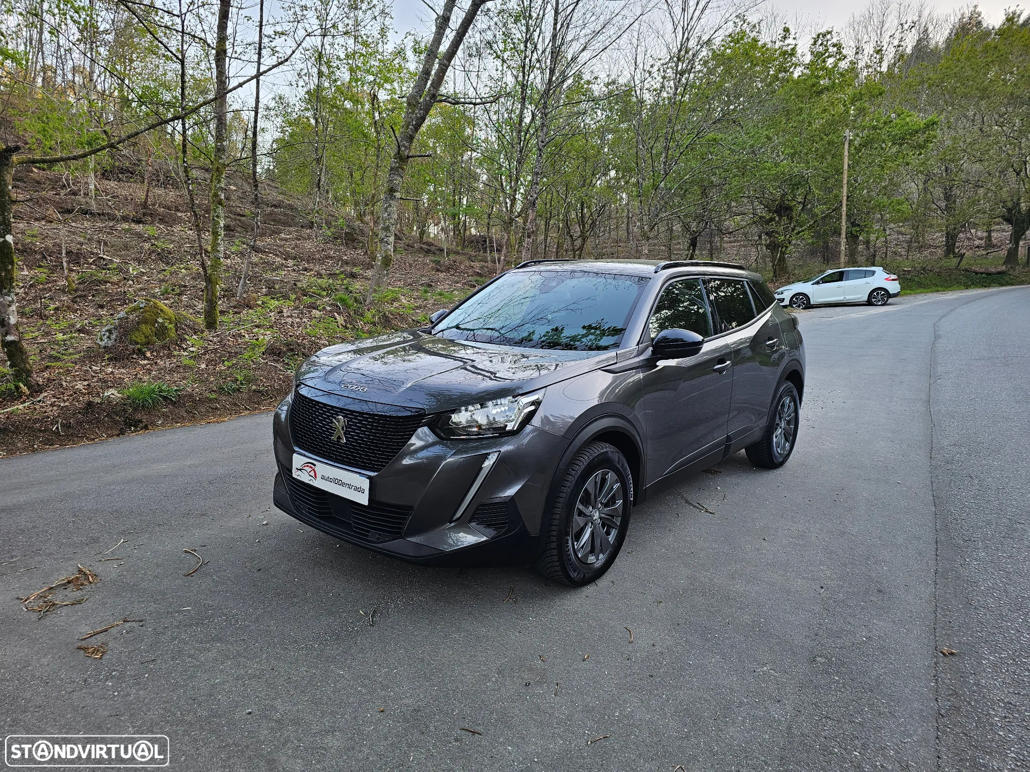 Peugeot 2008 - 4