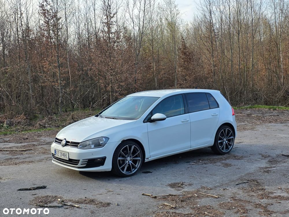 Volkswagen Golf 1.6 TDI DPF BlueMotion - 5