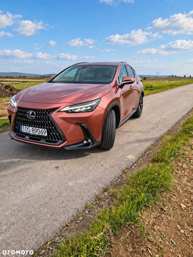 Lexus NX - 1