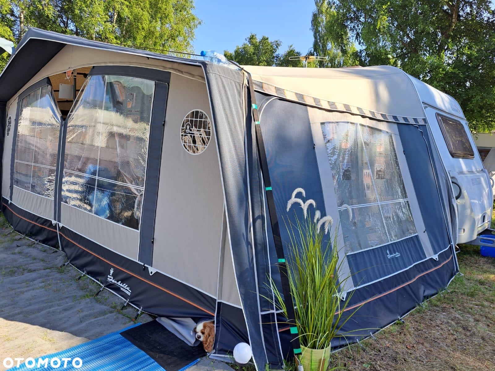 Hymer-Eriba EL 480 Living - 3
