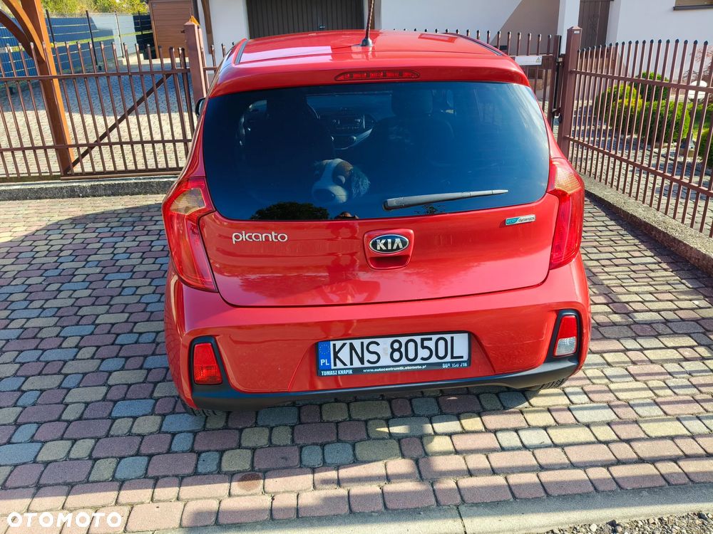 Kia Picanto - 7