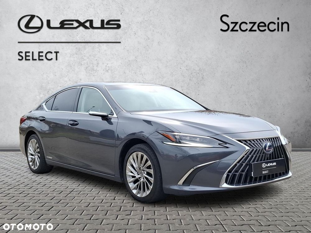 Lexus ES 300h Omotenashi - 7