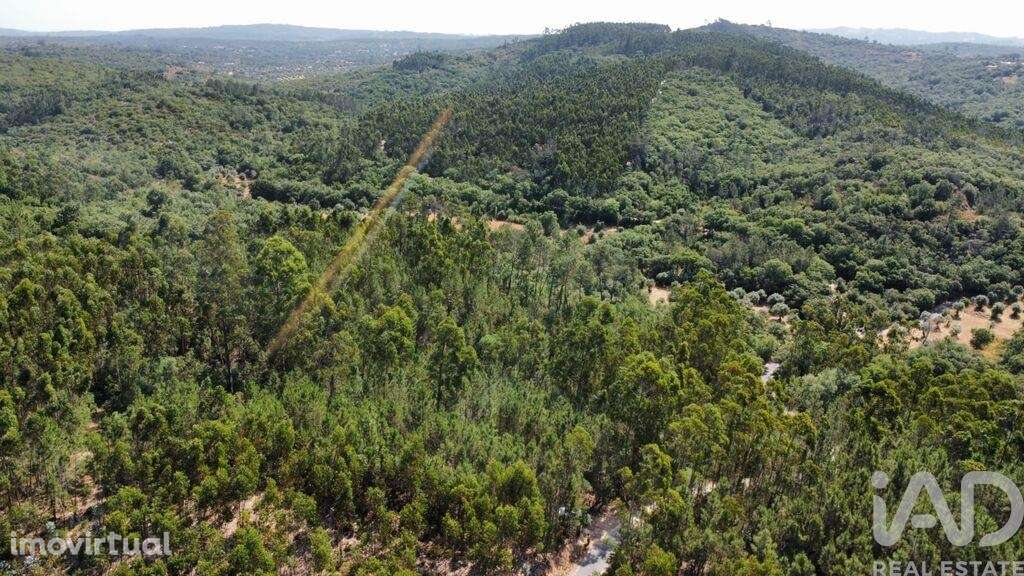 Terreno em Chãos de 1480,00 m2 - Grande imagem: 2/23