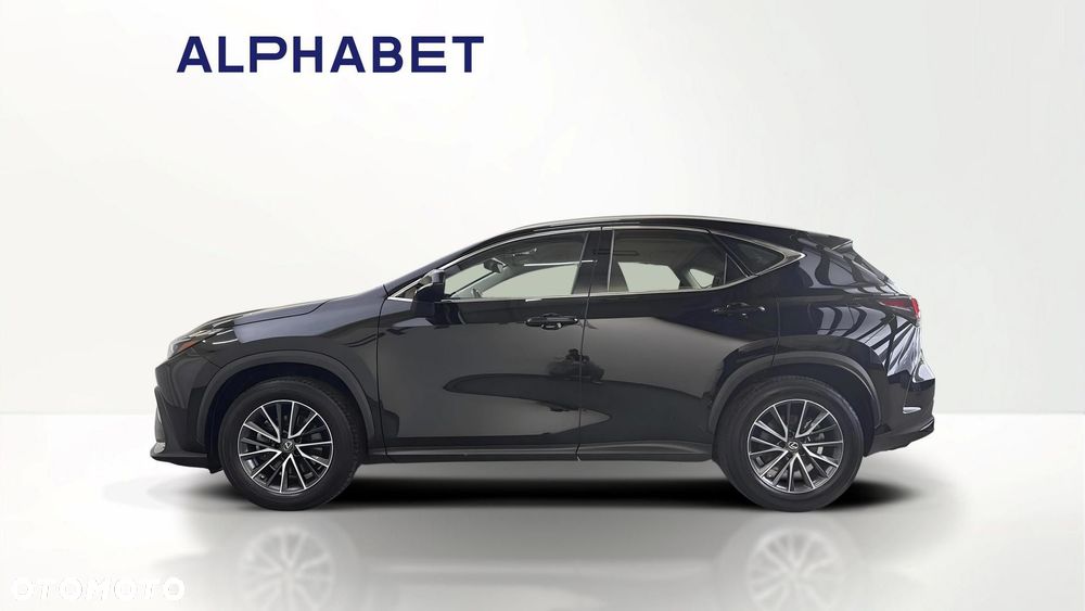 Lexus NX 350h Elegance 2WD - 6