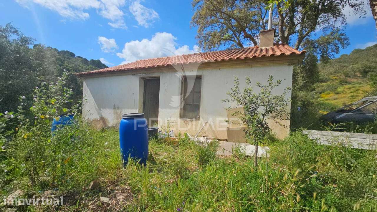 Quinta, Monte Corvo, Estiveiras - São Marcos da Serra, Algarve - Grande imagem: 2/25