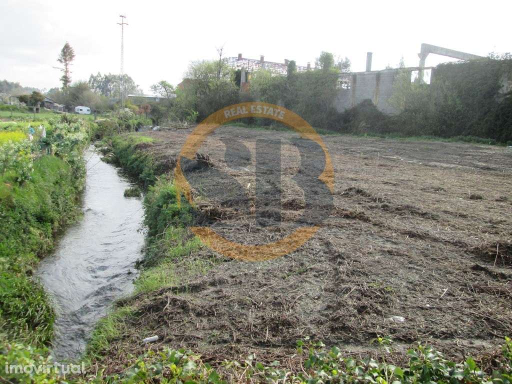 Terreno Rústico - São João de Ovar - Grande imagem: 2/9