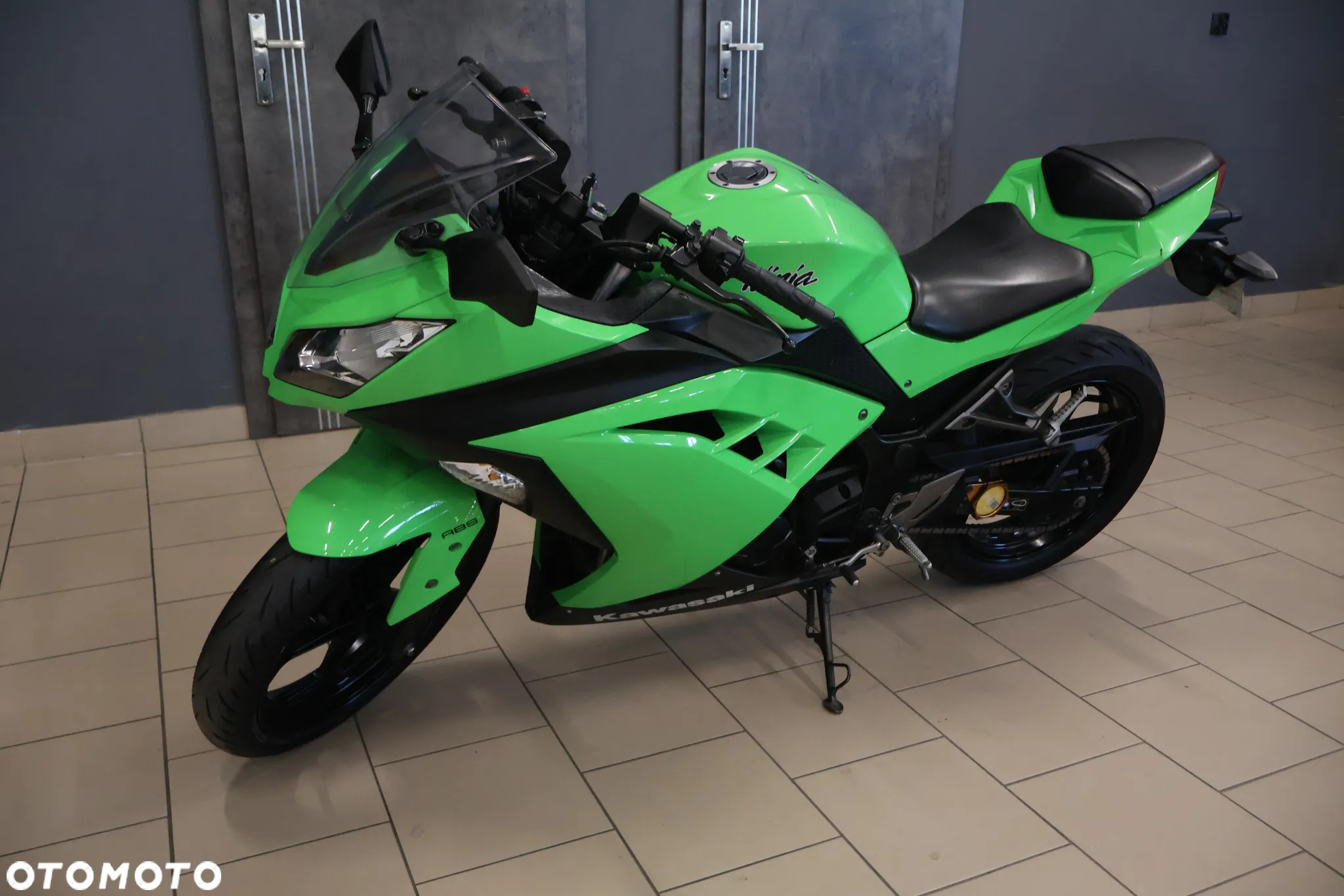 Kawasaki Ninja - 10