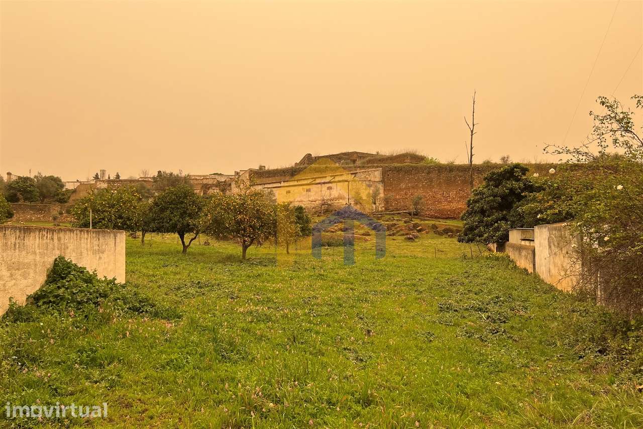 Quintinha  Venda em Estremoz (Santa Maria e Santo André),Estremoz - Grande imagem: 2/10