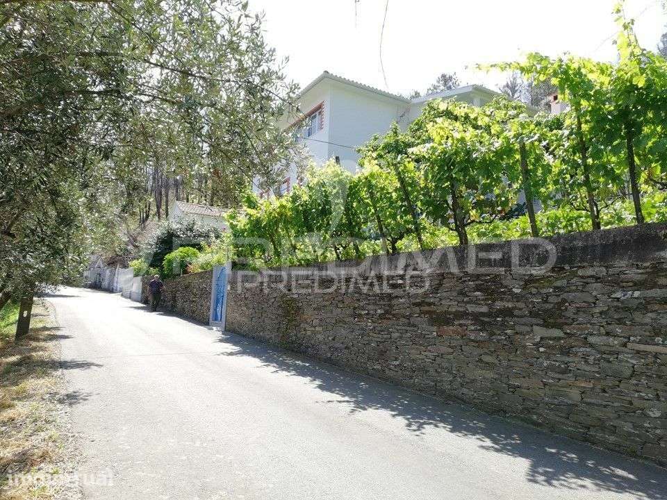 ARGANIL. Quintinha 8 assoalhadas na Serra do Açor - Grande imagem: 3/23