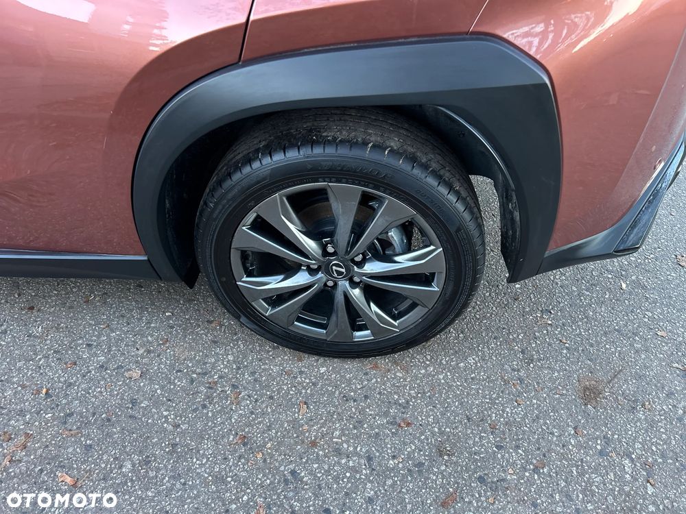 Lexus UX 300h F Sport Design - 35
