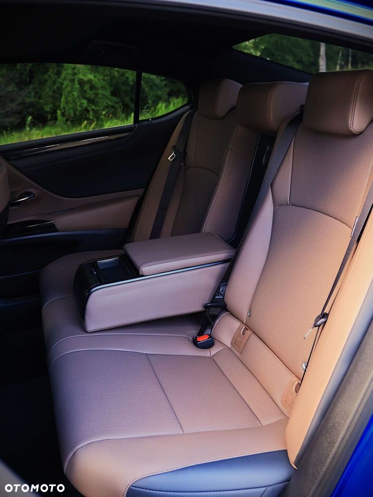 Lexus ES 300h F Sport Design - 36