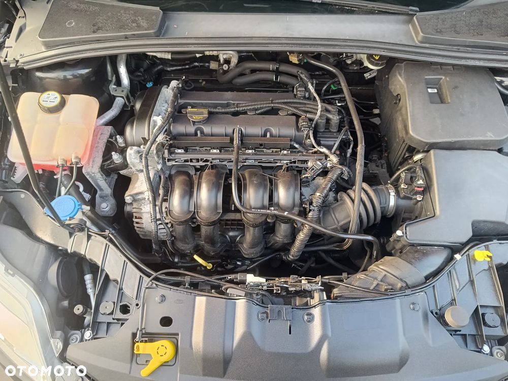 Ford Focus 1.6 TI-VCT Champions Edition - 17