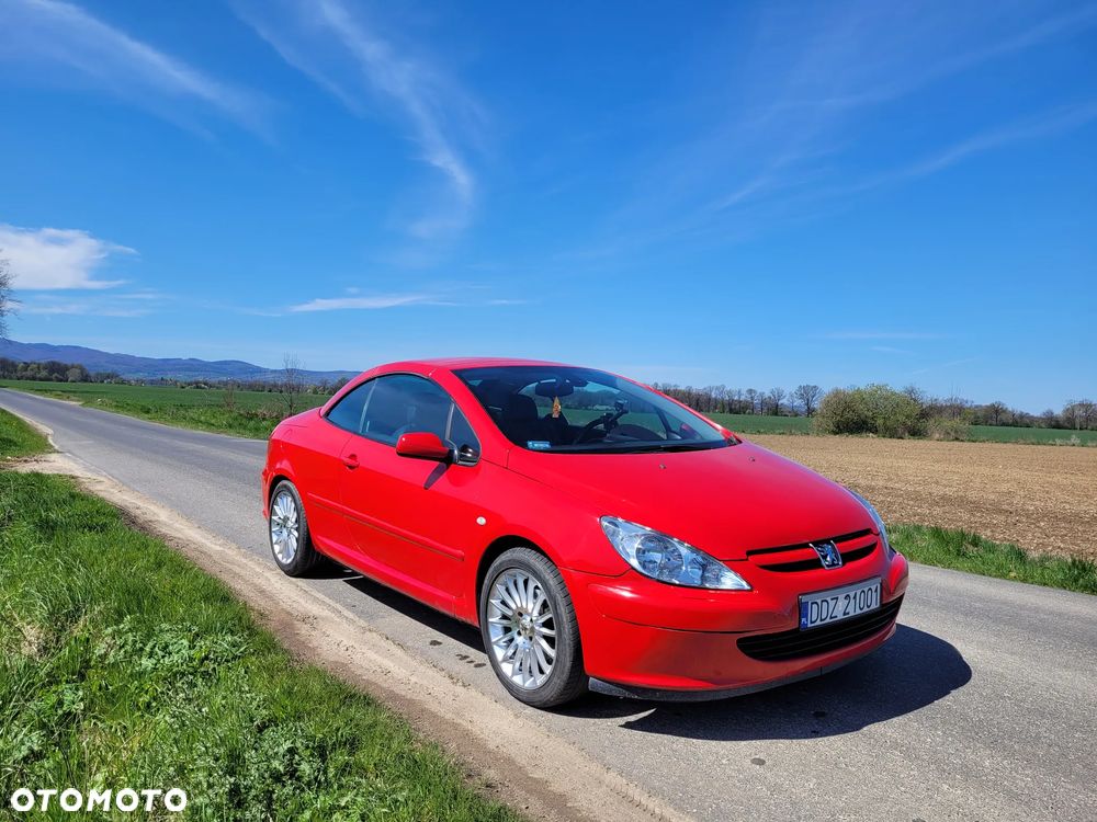 Peugeot 307 CC 2.0 - 15