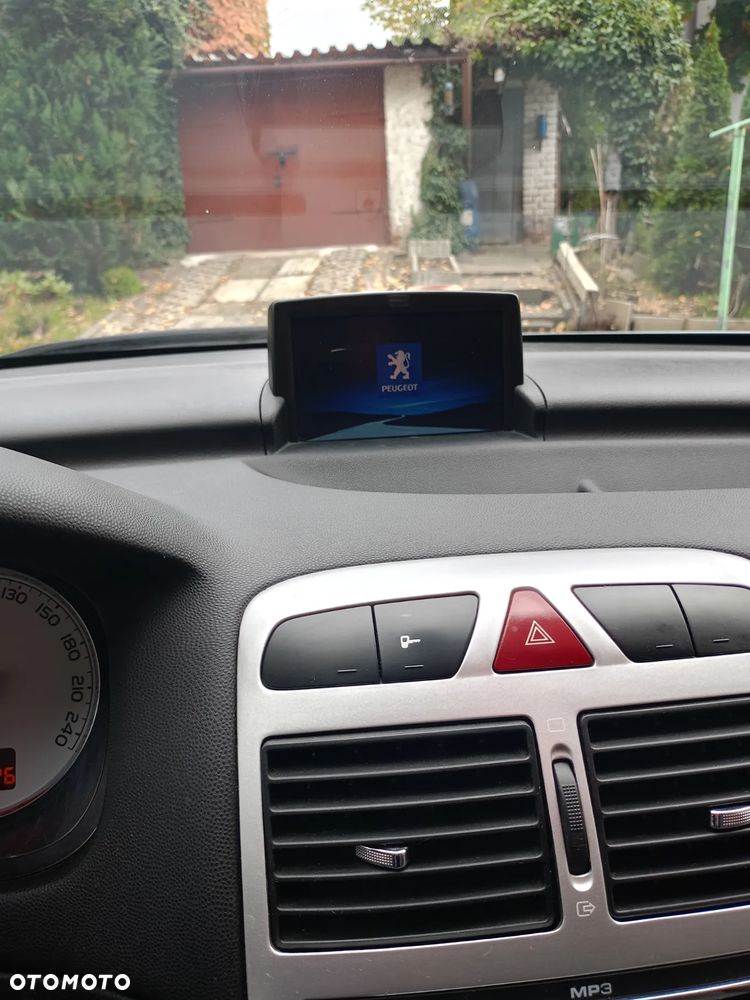 Peugeot 307 - 8