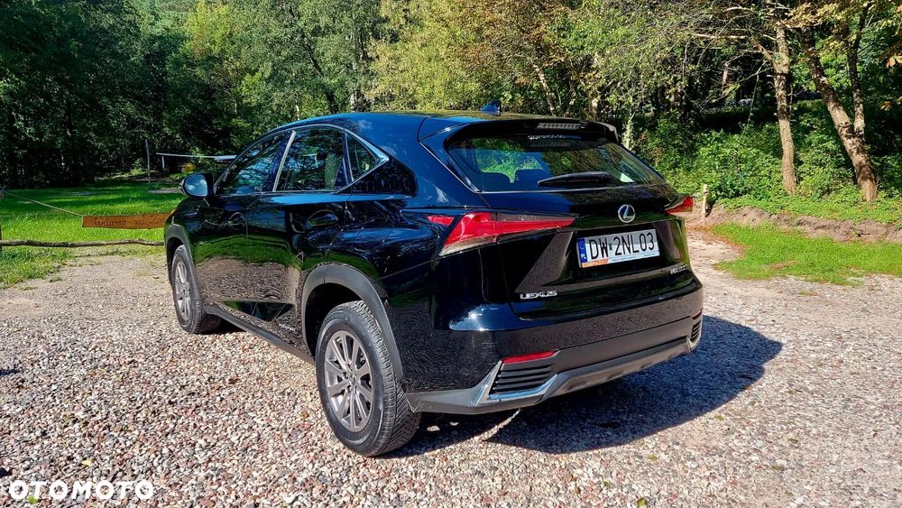 Lexus NX - 10