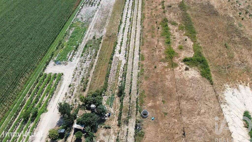 Terreno Agrícola em Benfica do Ribatejo - Grande imagem: 5/40
