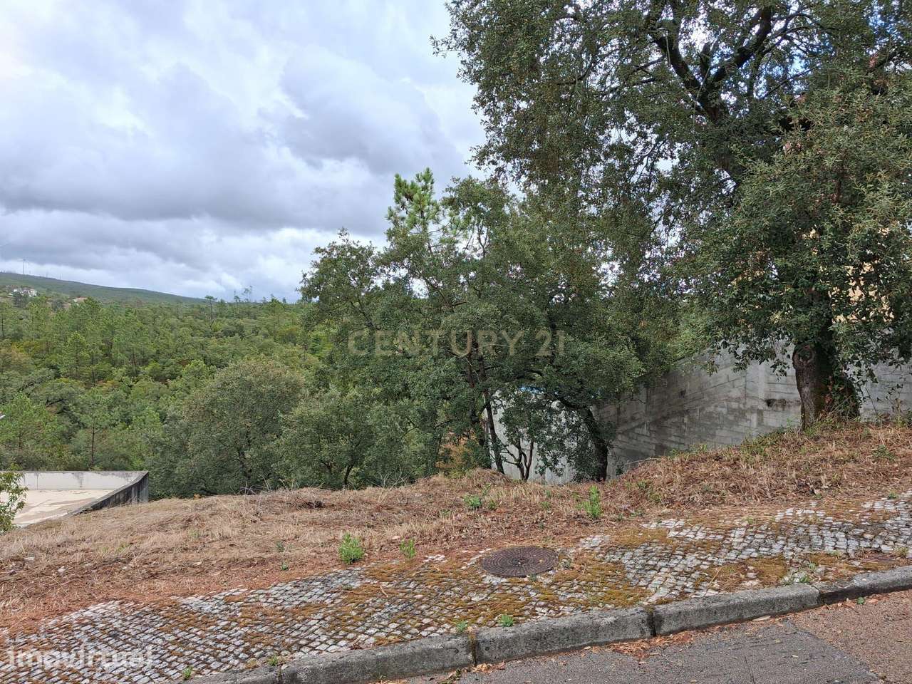 Lote em Zona Nobre de Pombal - Grande imagem: 3/11