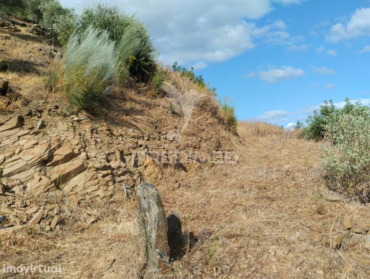Terreno Rústico - Grande imagem: 3/4