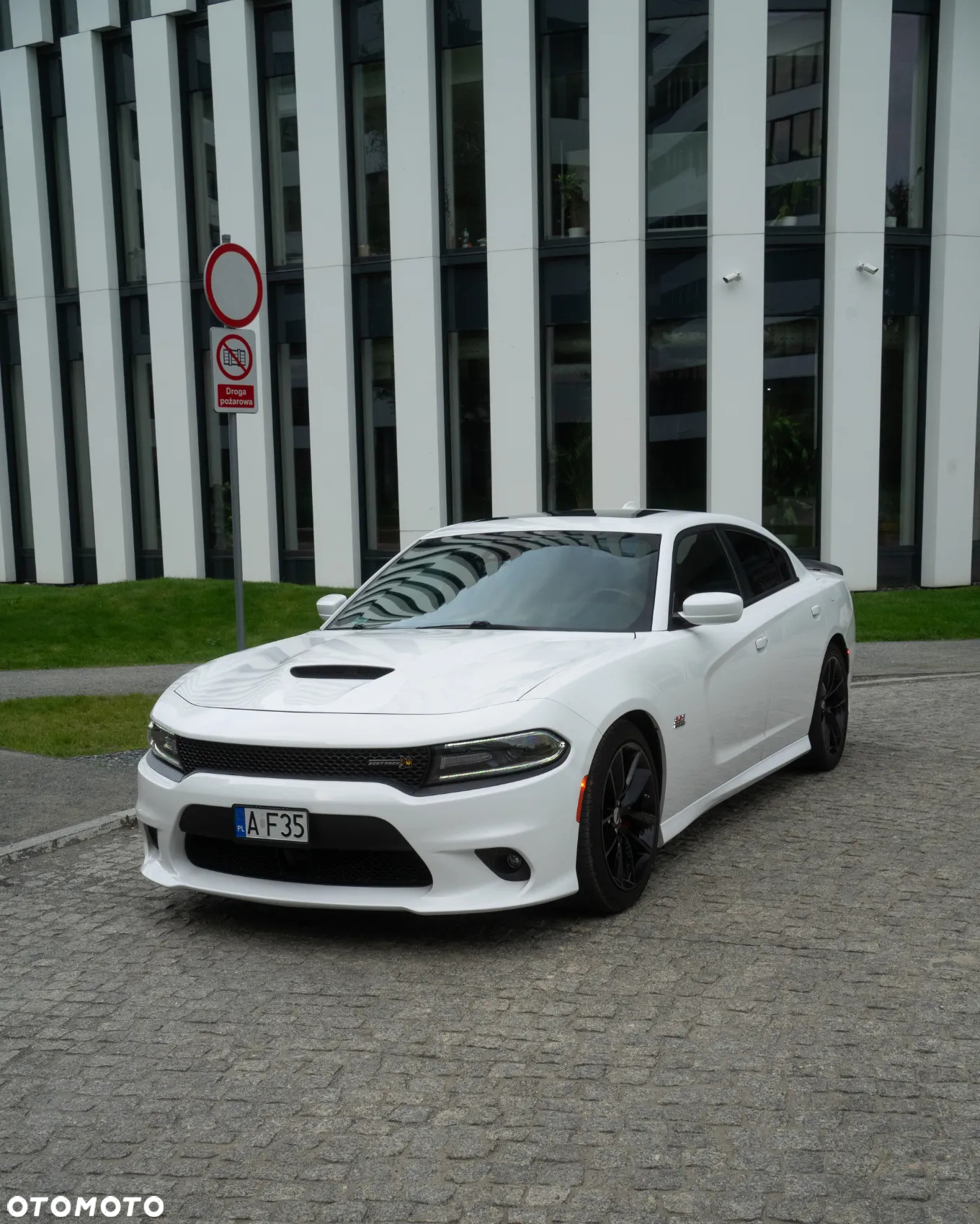 Dodge Charger 6.4 Scat Pack - 9