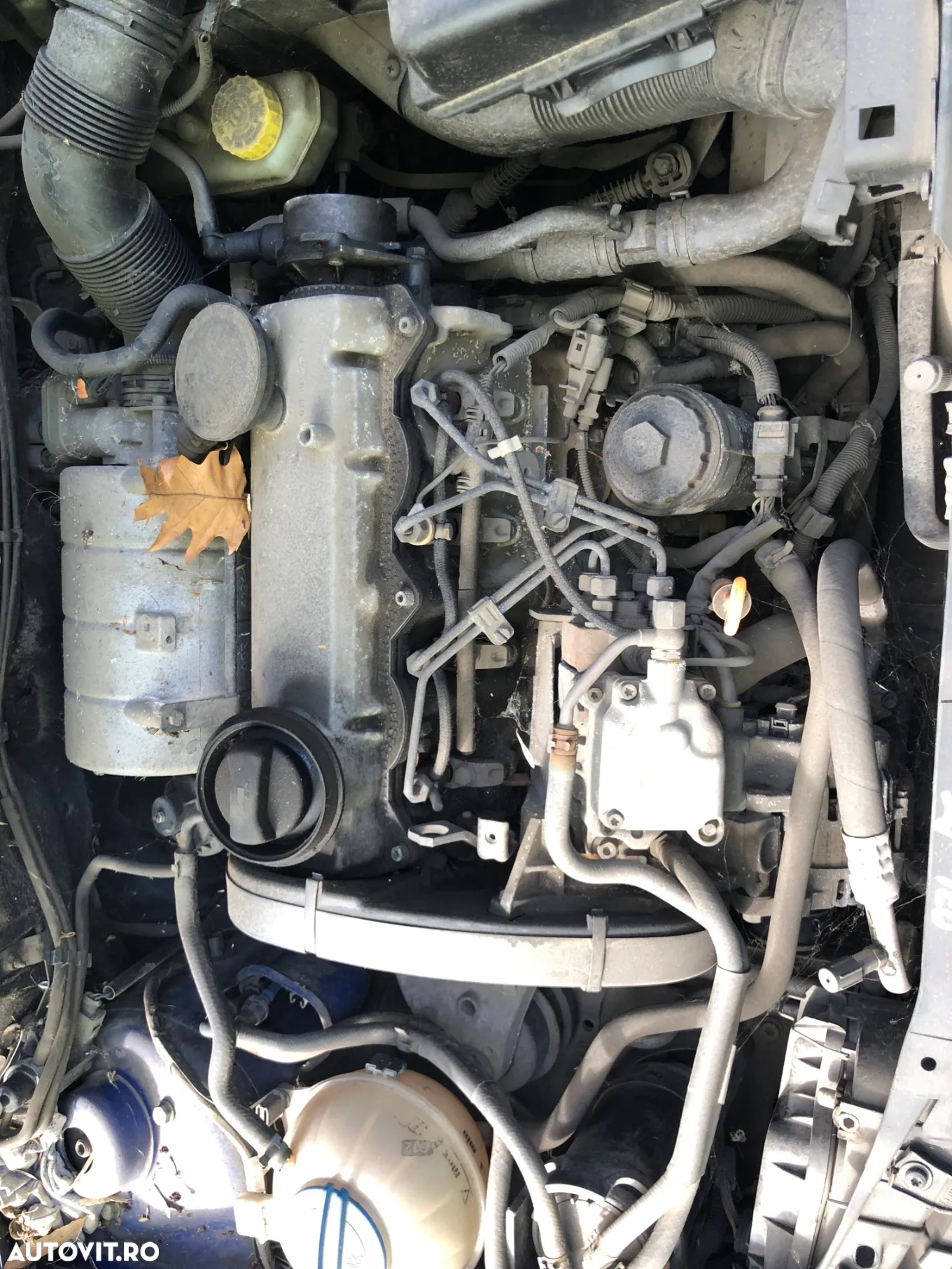 Dezmembrez Seat Ibiza 2005 albastru - 6
