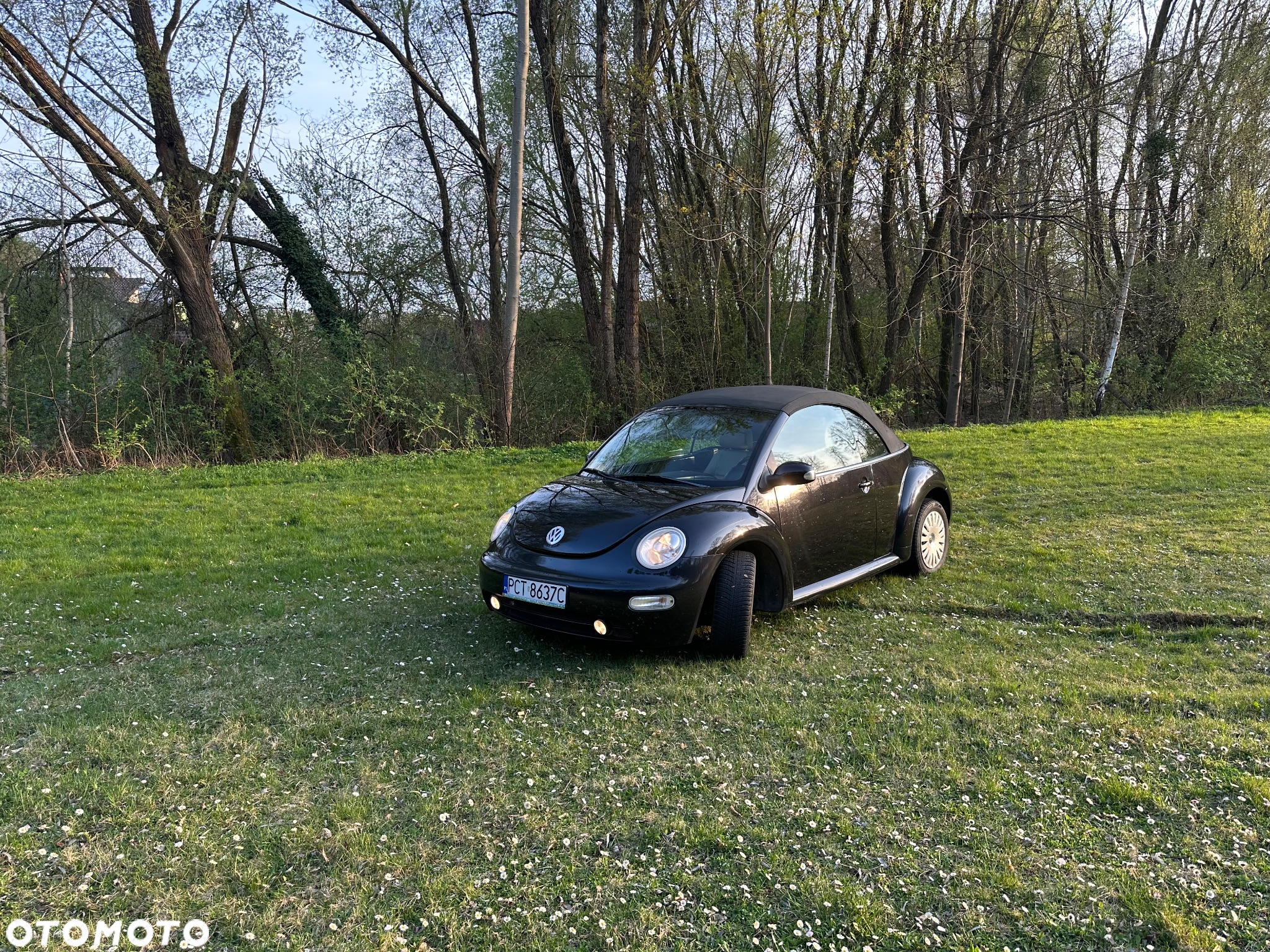 Volkswagen New Beetle 2.0 - 10