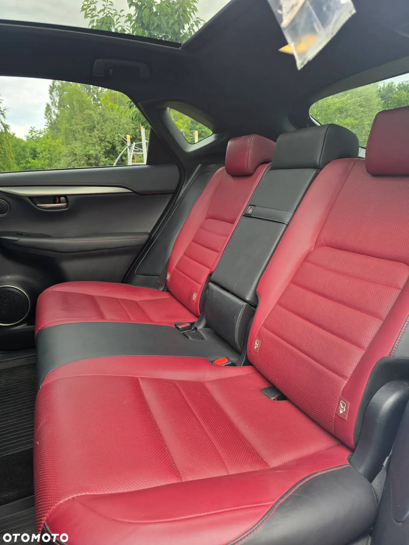 Lexus NX 300h F Sport Edition AWD - 15