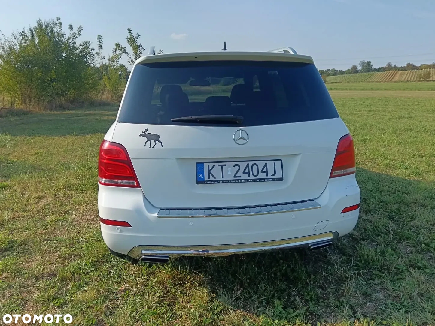 Mercedes-Benz GLK 220 CDI (BlueEFFICIENCY) 7G-TRONIC - 10