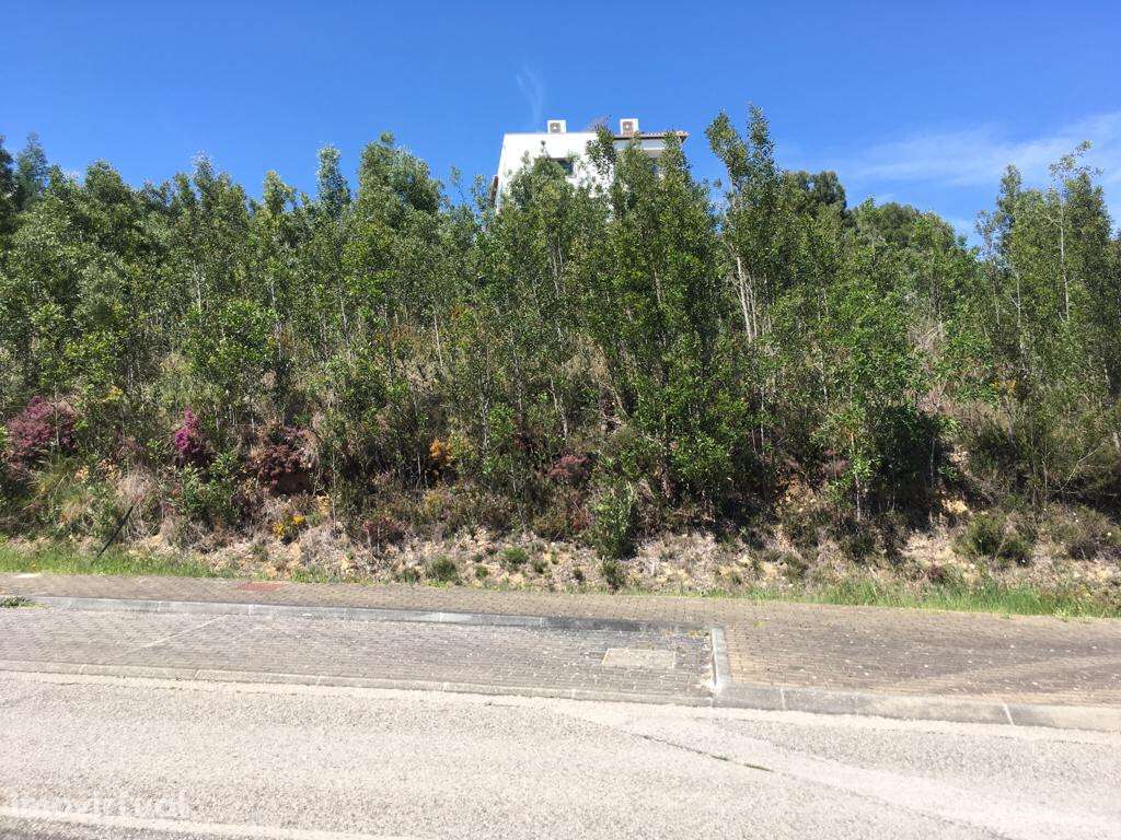 Lote para construção em zona de São Martinho do Bispo - Grande imagem: 2/2