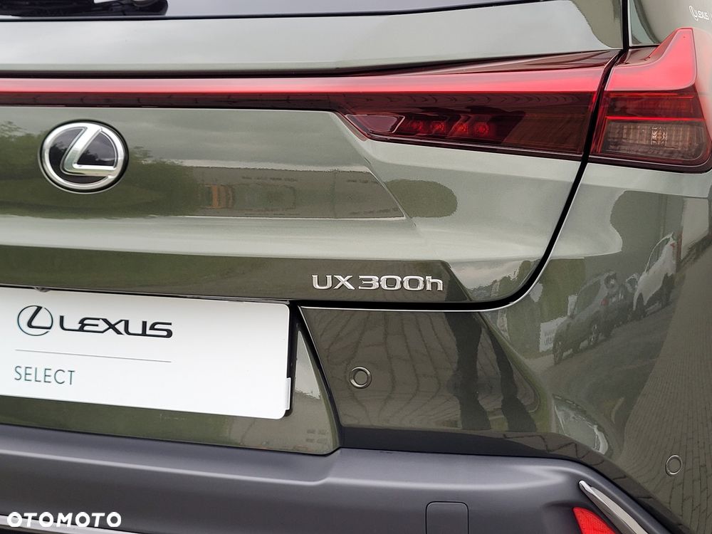 Lexus UX 300h F Sport Design - 12