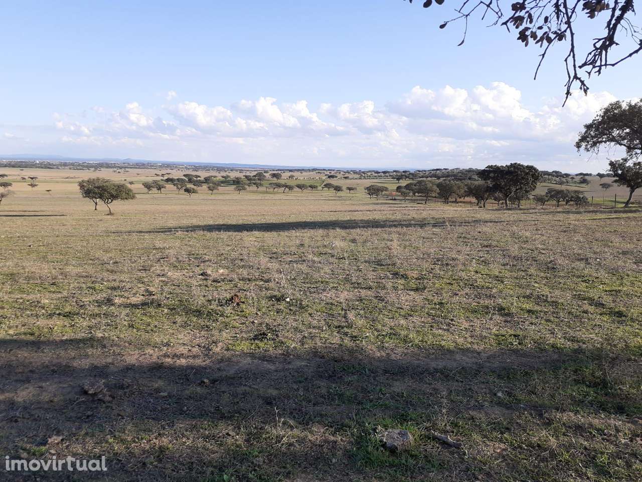 Baldio do Peral e Courela das Caldeiras - Cabeça de Carneiro - Grande imagem: 5/27