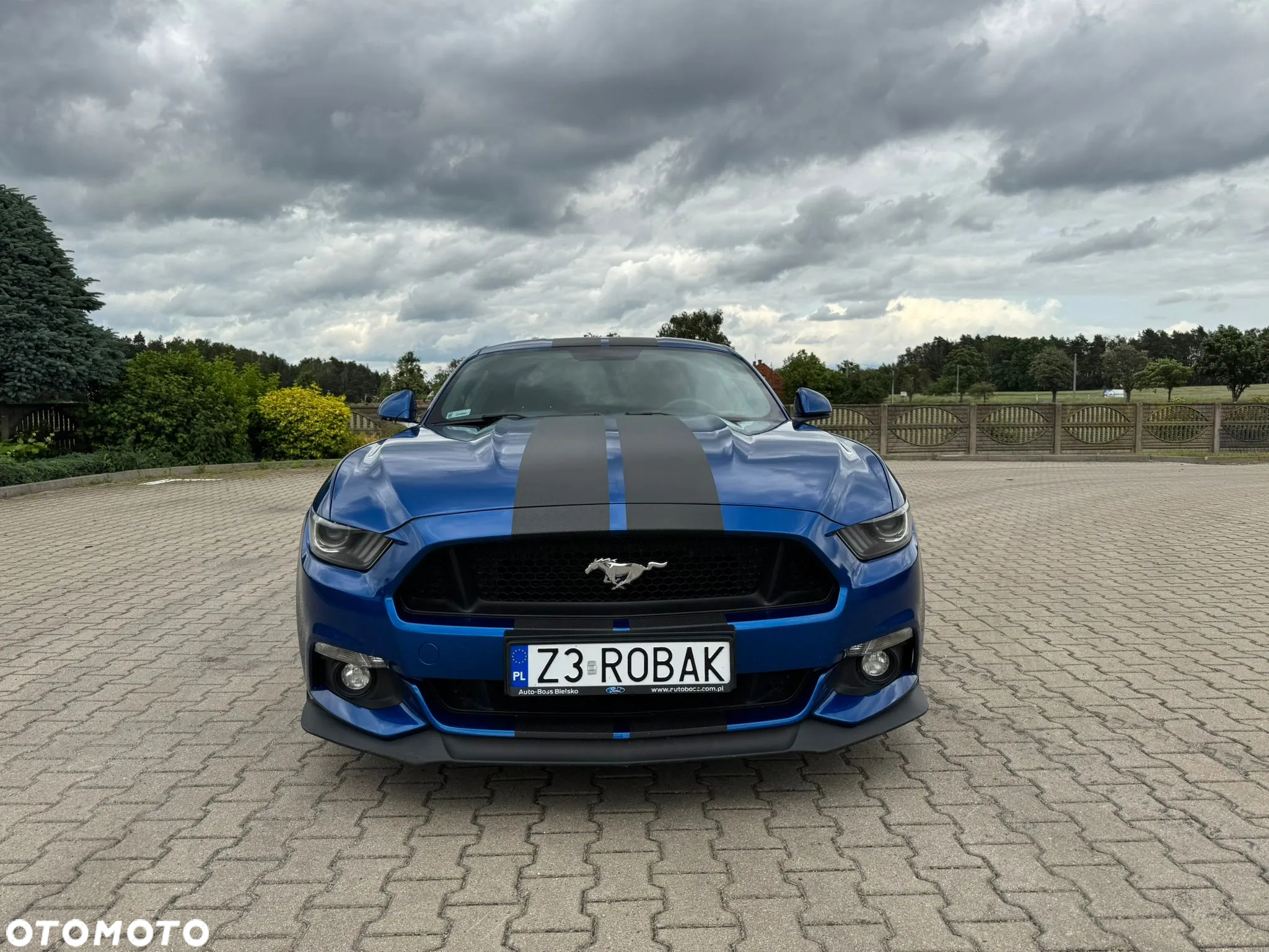 Ford Mustang 5.0 V8 GT - 20