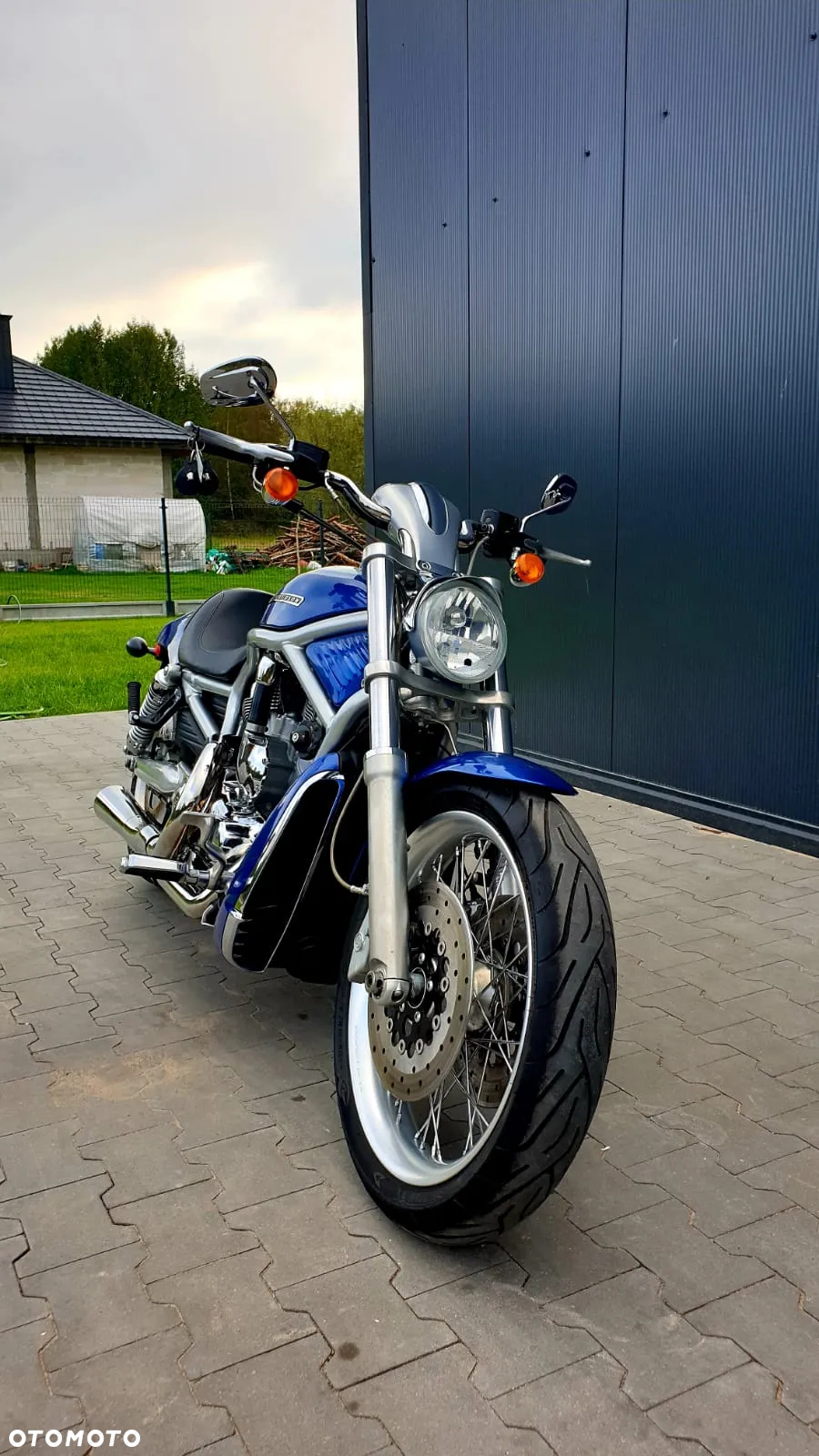 Harley-Davidson Softail V-Rod - 2