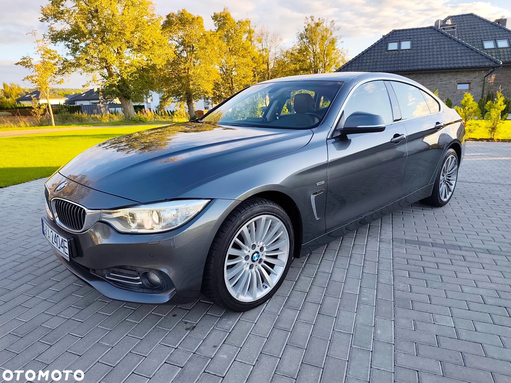 BMW Seria 4 420d Luxury Line - 4