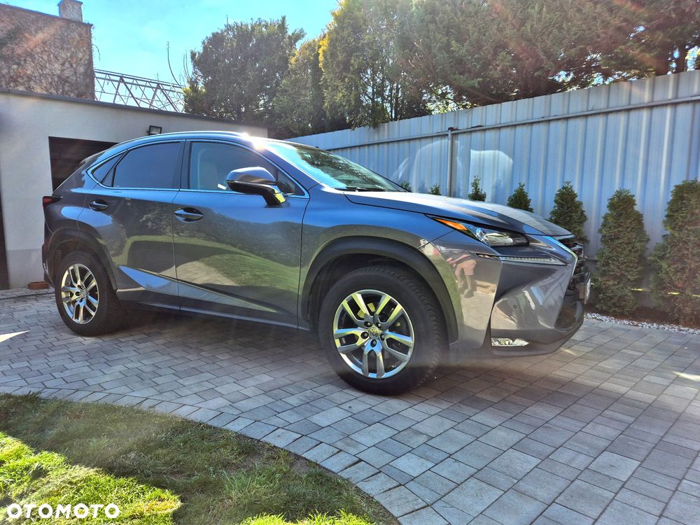 Lexus NX 300h Business Edition AWD - 5
