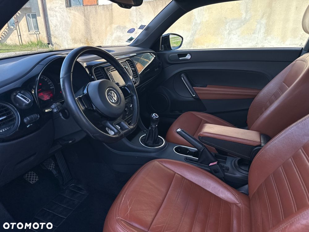 Volkswagen Beetle - 10