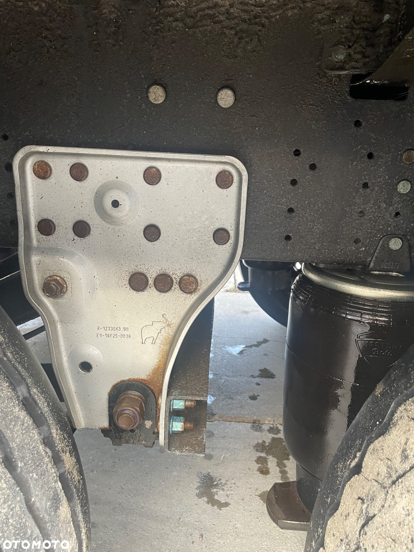 Schmitz Cargobull - 8