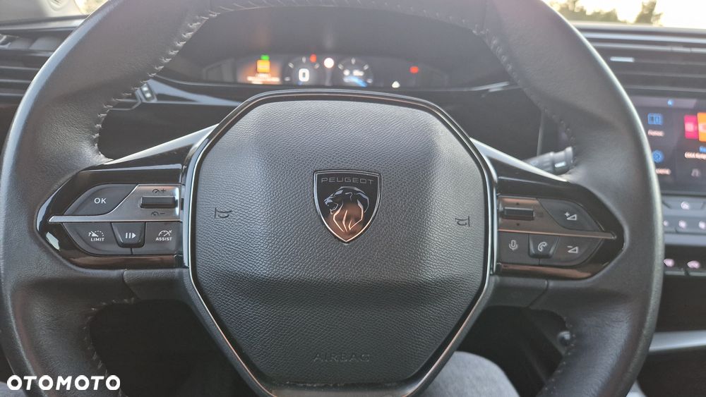 Peugeot 308 1.5 BlueHDi Active Pack S&S - 19