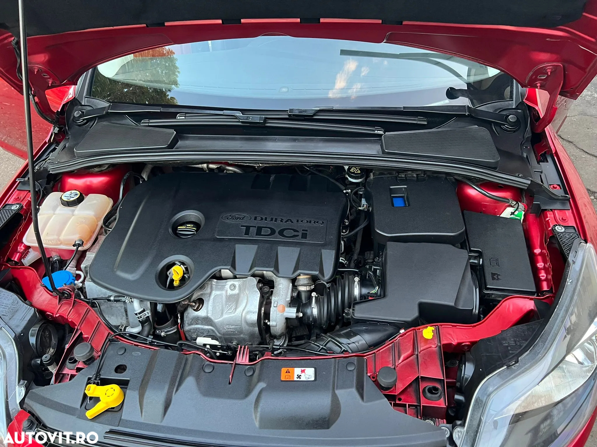 Ford Focus - 9