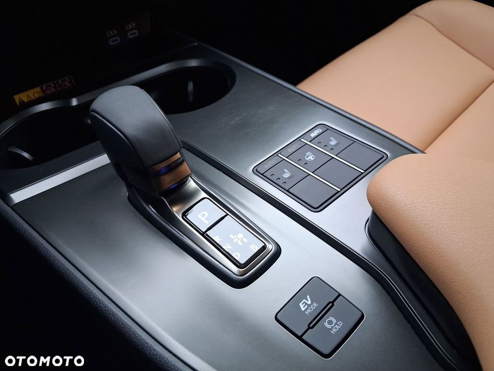 Lexus UX 300h F Sport Design - 18